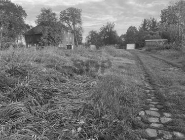 Zdjęcie 14931684