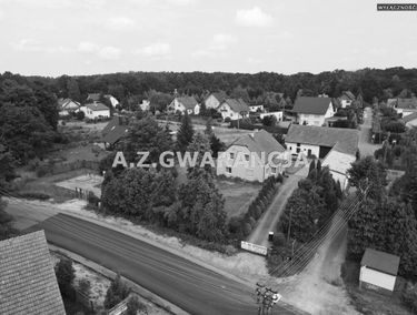 Zdjęcie 14931840