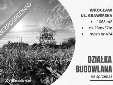 Zdjęcie 14932362