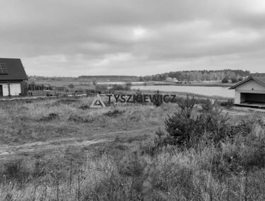 Zdjęcie 14933162
