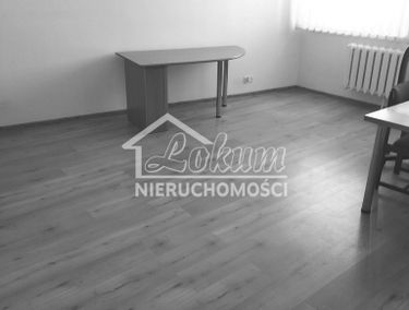 Zdjęcie 14933582