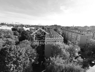 Zdjęcie 14933584