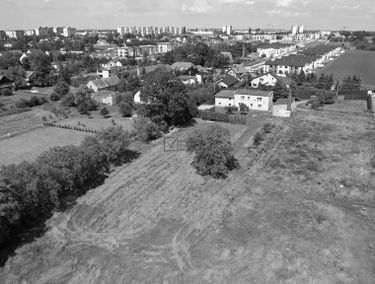Zdjęcie 14936512