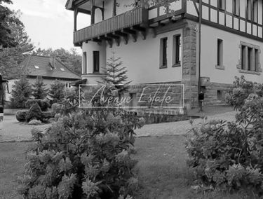 Zdjęcie 14936594