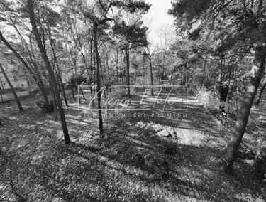 Zdjęcie 14936627