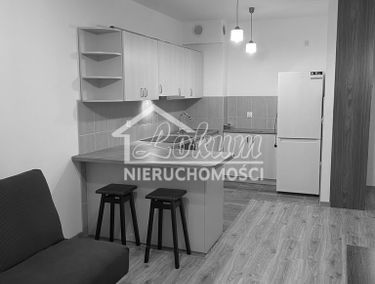 Zdjęcie 14938309