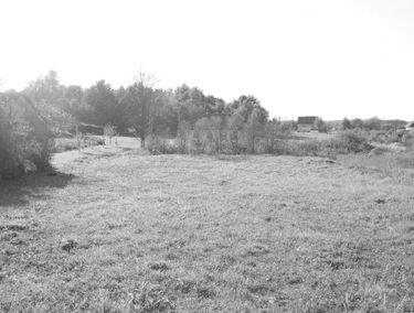 Zdjęcie 14938456