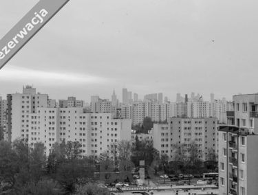 Zdjęcie 14939417