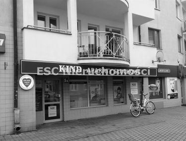 Zdjęcie 14939578