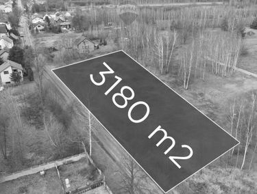 Zdjęcie 14939742