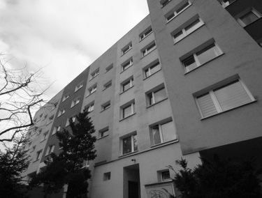 Zdjęcie 14940139