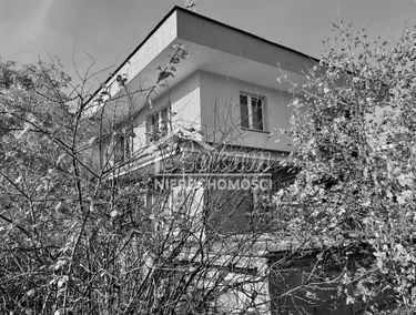 Zdjęcie 14940662