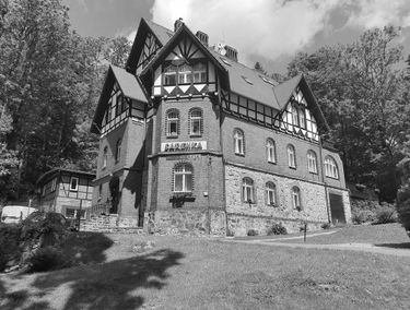 Zdjęcie 14940670
