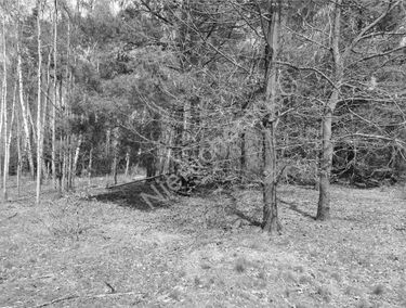 Zdjęcie 14941303