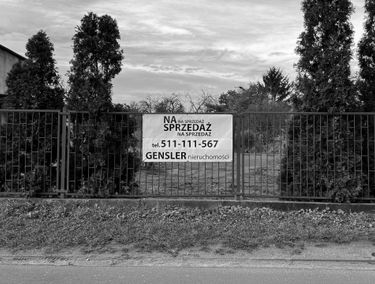 Zdjęcie 14941729