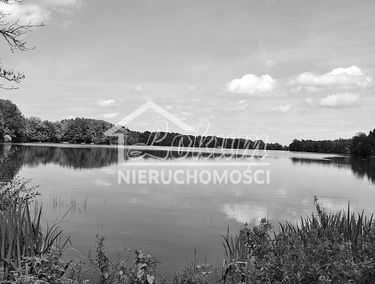 Zdjęcie 14942120