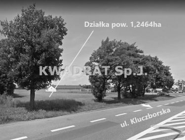 Zdjęcie 14942293