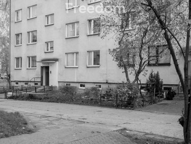 Zdjęcie 14943372