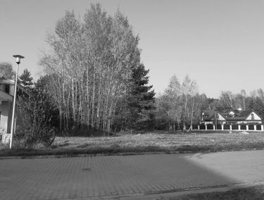 Zdjęcie 14943614