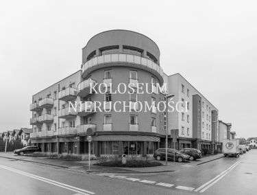 Zdjęcie 14944170