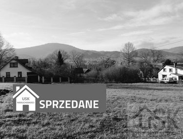 Zdjęcie 14944443