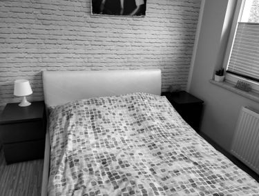Zdjęcie 14944724
