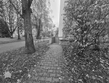 Zdjęcie 14945393