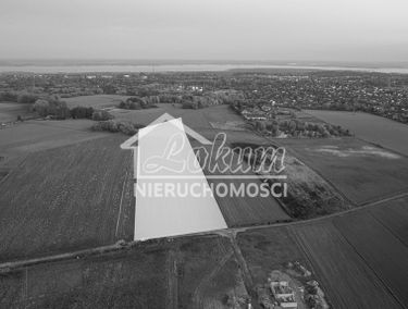 Zdjęcie 14945949