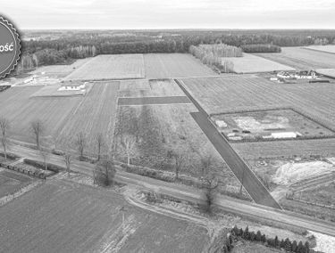Zdjęcie 14946080