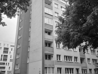 Zdjęcie 14946480