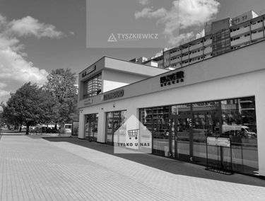 Zdjęcie 14946545