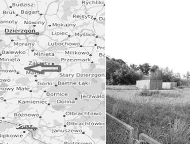 Zdjęcie 14946867