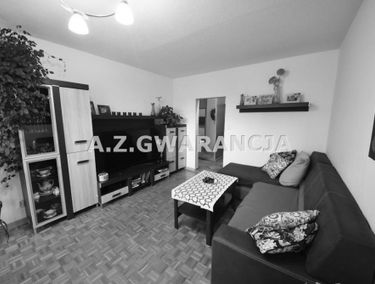 Zdjęcie 14946924