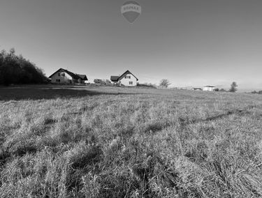 Zdjęcie 14947064