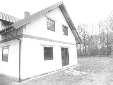 Zdjęcie 14948020