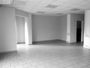 Zdjęcie 14948023