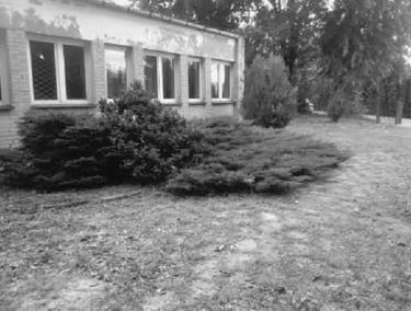 Zdjęcie 14948077