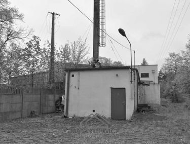 Zdjęcie 14949167