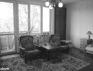 Zdjęcie 14949168