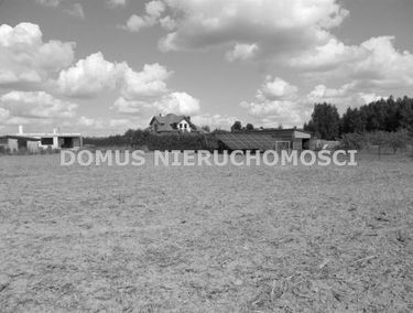 Zdjęcie 14949438