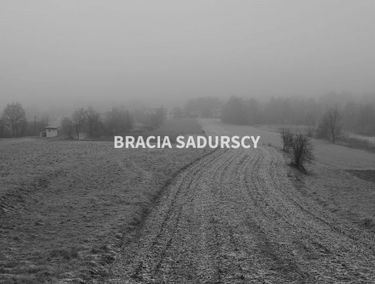 Zdjęcie 14950322