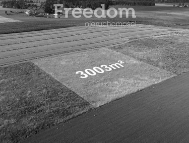 Zdjęcie 14950749