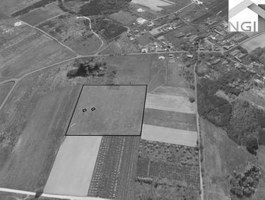 Zdjęcie 14950844