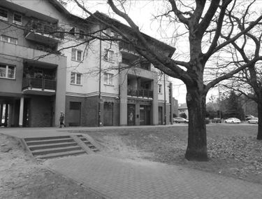 Zdjęcie 14951010