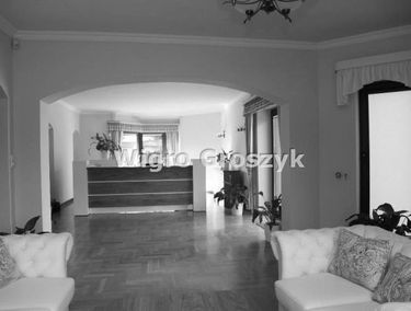 Zdjęcie 14952853
