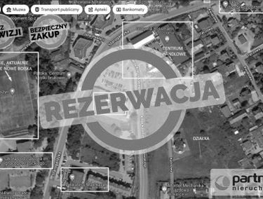 Zdjęcie 14953052