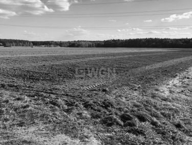 Zdjęcie 14953238
