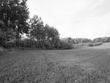 Zdjęcie 14953467