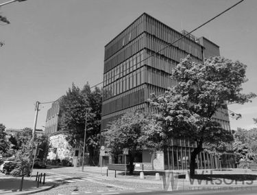 Zdjęcie 14953576