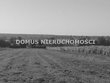 Zdjęcie 14953664